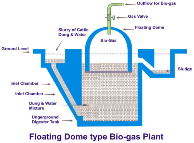 Homework help fossil fuels